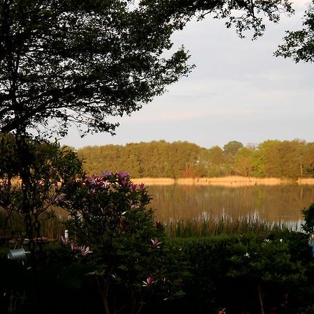 Bungalow Idylle Am See Neuruppin Bagian luar foto