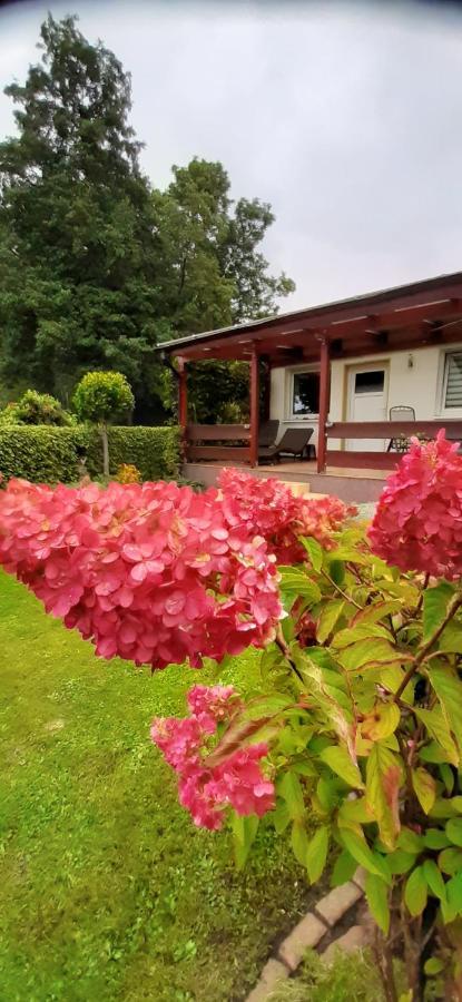 Bungalow Idylle Am See Neuruppin Bagian luar foto