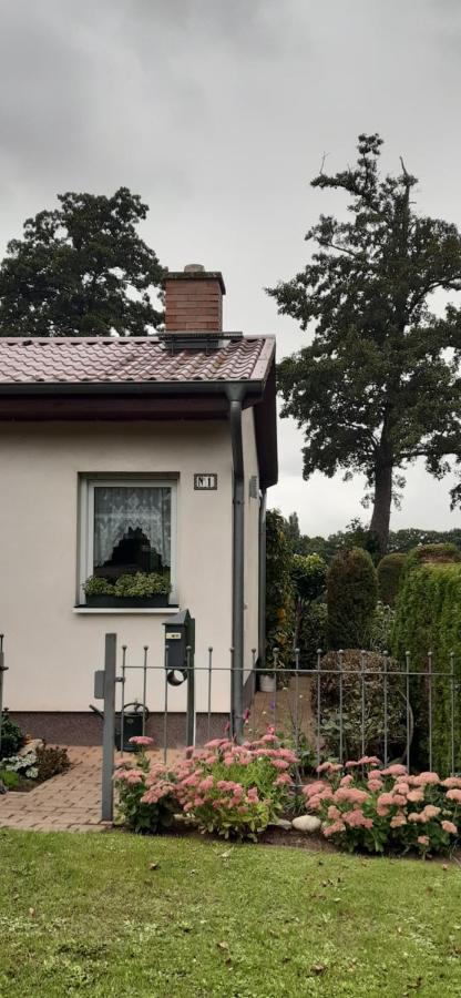 Bungalow Idylle Am See Neuruppin Bagian luar foto