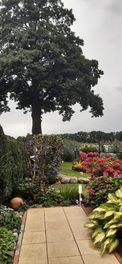Bungalow Idylle Am See Neuruppin Bagian luar foto