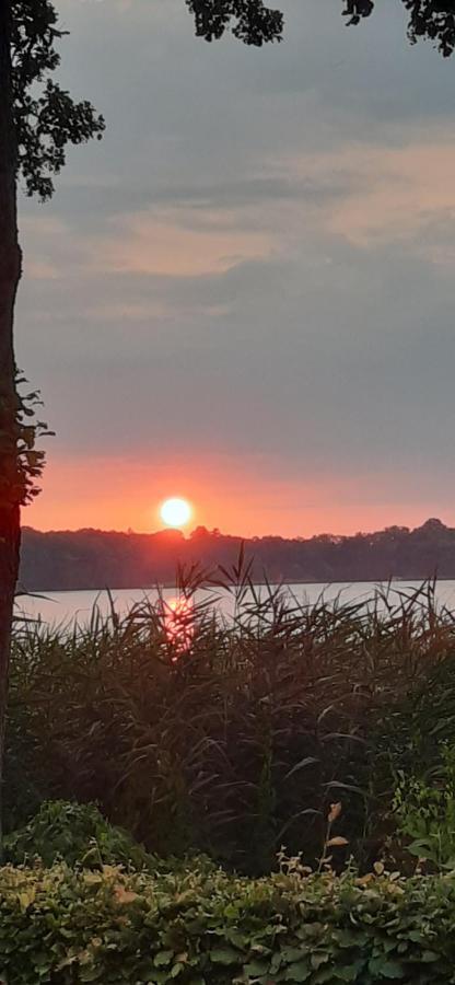 Bungalow Idylle Am See Neuruppin Bagian luar foto