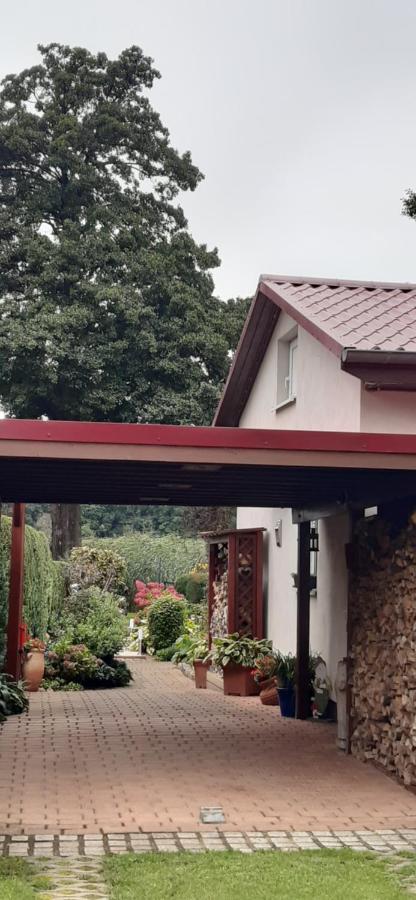 Bungalow Idylle Am See Neuruppin Bagian luar foto